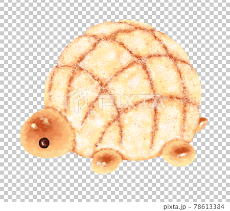 カメの形をしたメロンパンのイラストのイラスト素材